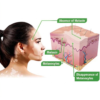 BEE VENOM VITIGO CORRECTING CREAM - (1 MONTH PACK)